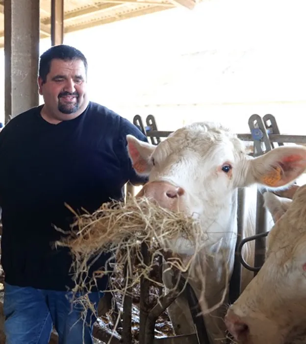 eleveur bovin à Coltainville près de Chartres en Eure-et-Loir 28