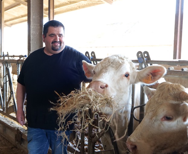 producteur bovin Eure-et-Loir 28